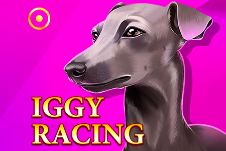 Iggy Racing